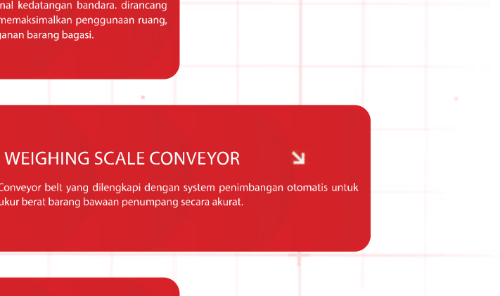 Weighing Scale Conveyor